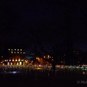 La instalación Field of Light de Bruce Munro en St. Andrews Square de Edimburgo