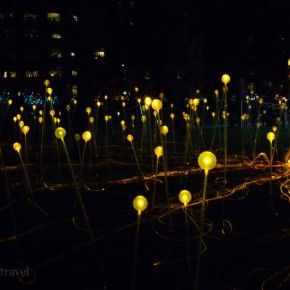 La instalación Field of Light de Bruce Munro en St. Andrews Square de Edimburgo