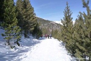 Ruta con raquetas de nieve en Espot
