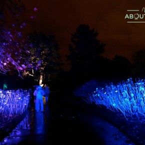 Night in the Garden, Royal Botanic Garden Edinburgh