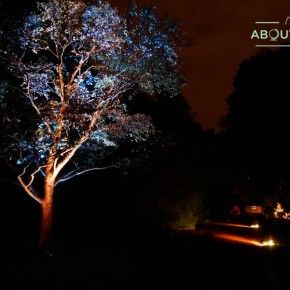 Night in the Garden, Royal Botanic Garden Edinburgh