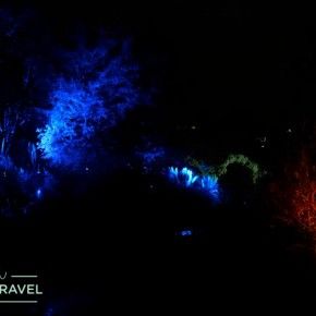 Night in the Garden, Royal Botanic Garden Edinburgh