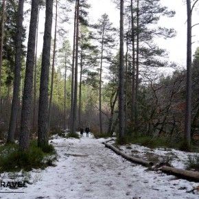 Nieve en el Hermitage de Dunkeld
