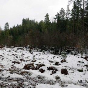 Nieve en el Hermitage de Dunkeld