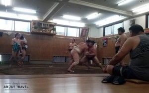 Entreno de sumo en la escuela de sumo Tomozuna Beya