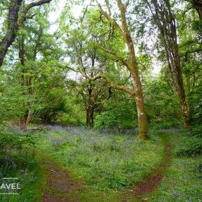 Un paseo por la isla de Inchmahome, en el Lago de Menteith