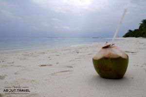 coco en la playa en el resort angsana velavaru en maldivas