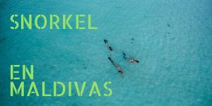 ESNORKEL EN MALDIVAS