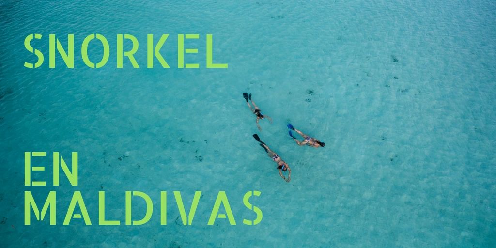 snorkel en maldivas