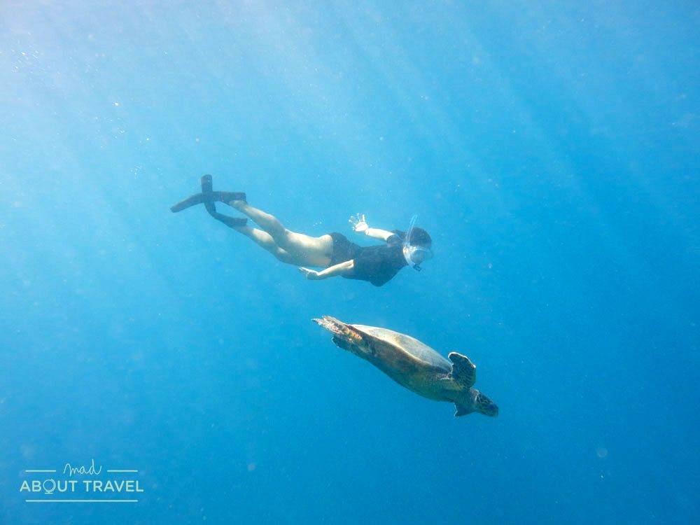 snorkel con tortugas en maldivas