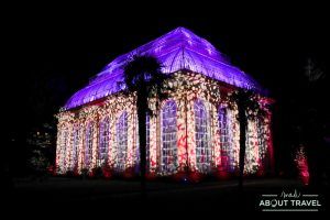 Navidad en Edimburgo: Christmas Lights en el Jardín Botánico