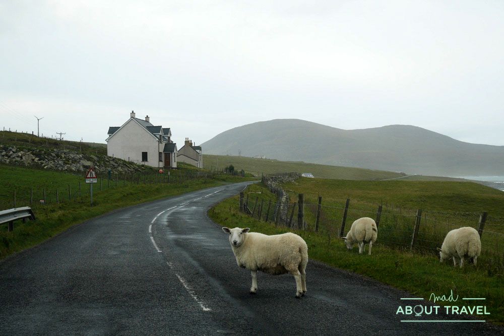que ver en la isla de harris