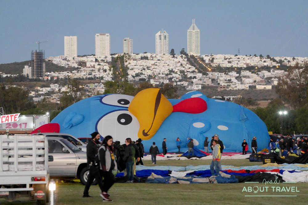 festival del globo de león