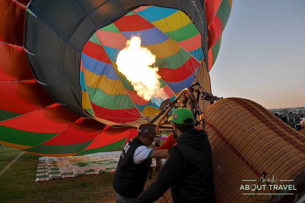 festival del globo de león