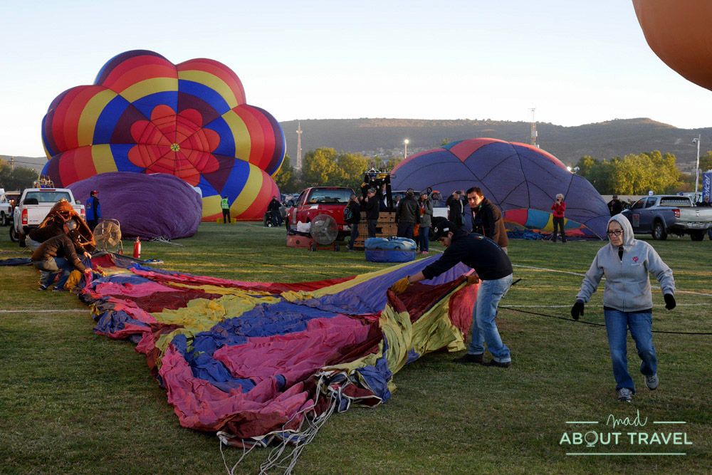 festival del globo de león