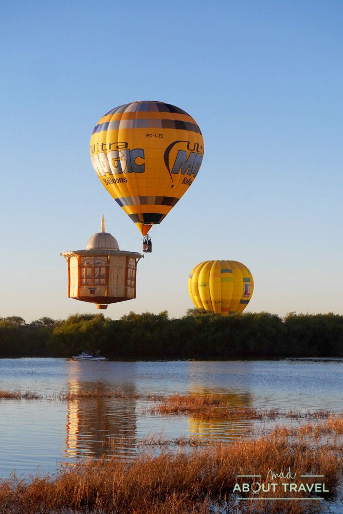 festival del globo de león