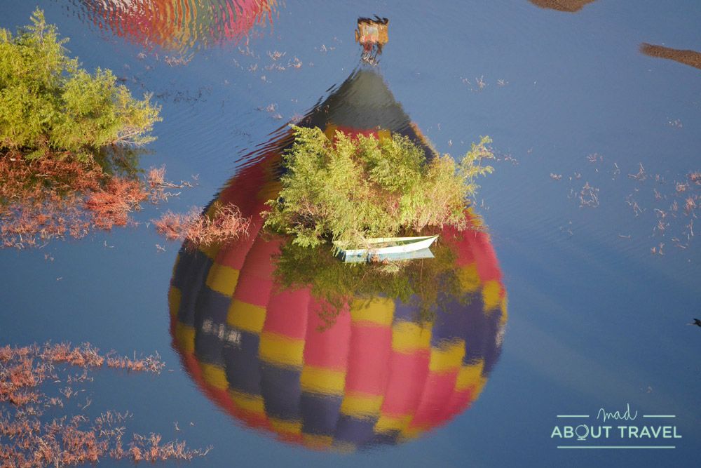 festival del globo de león