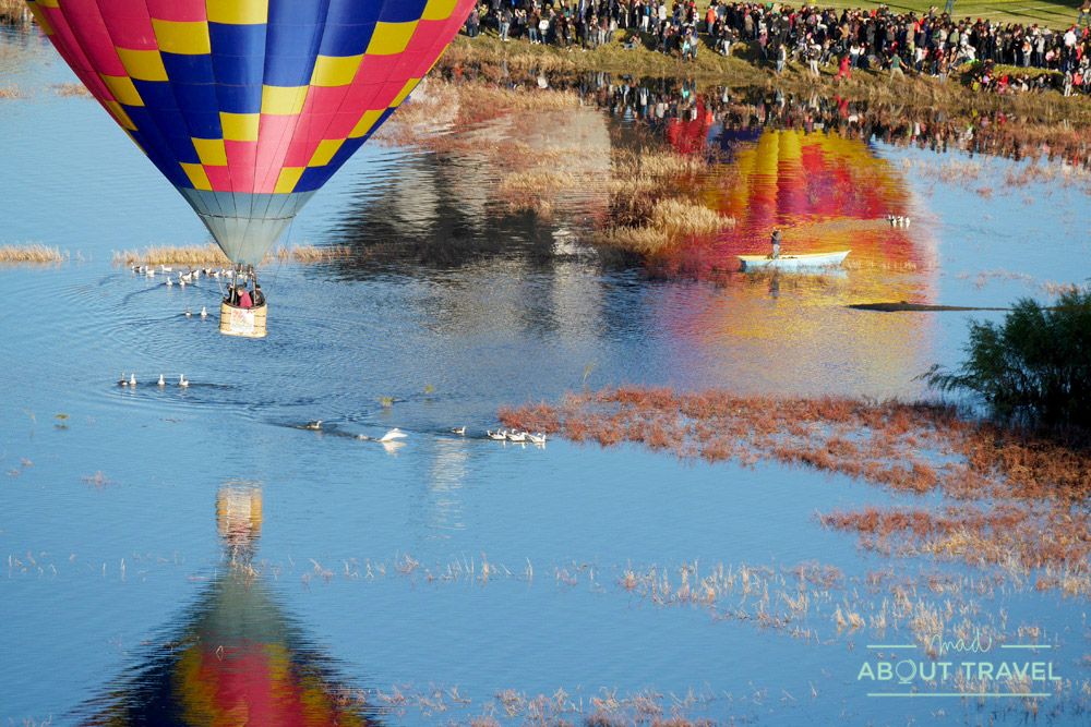 festival del globo de león