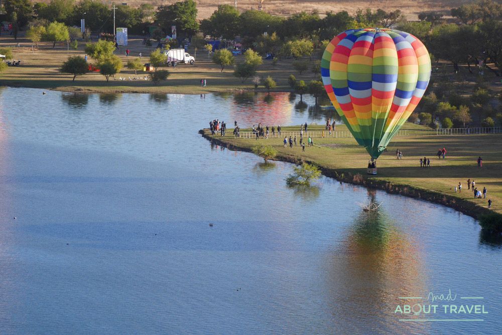 festival del globo de león