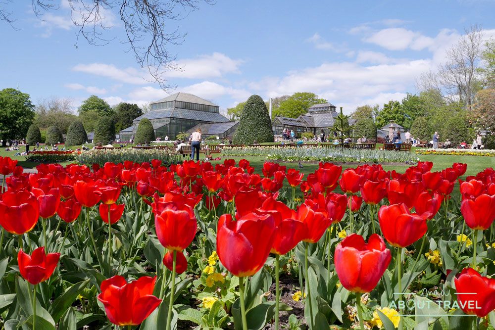 que ver en glasgow gratis: jardín botánico