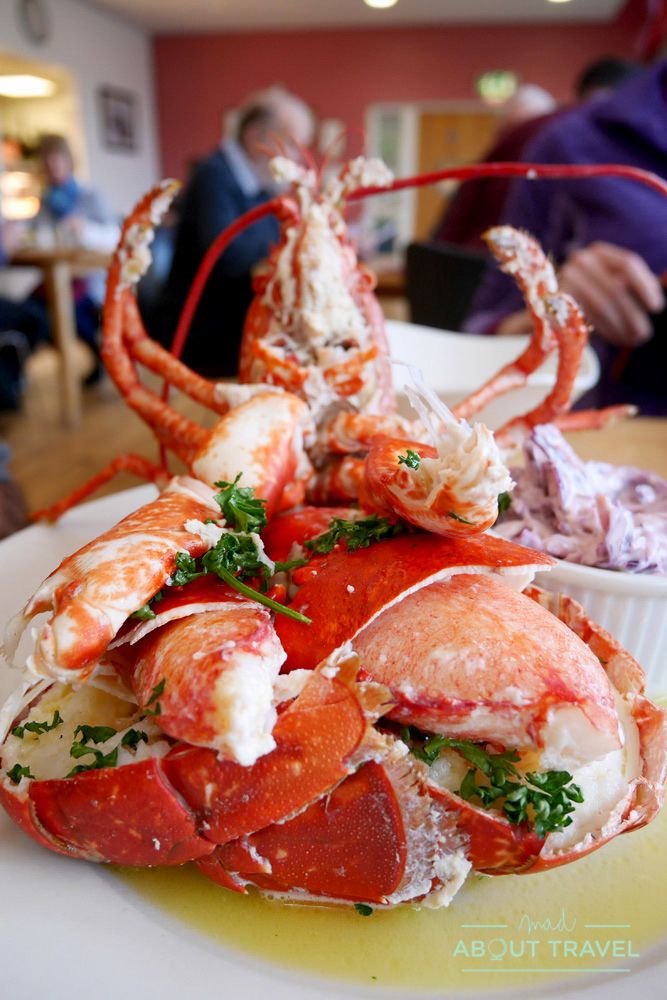 donde comer en shetland - langosta en hay's dock cafe