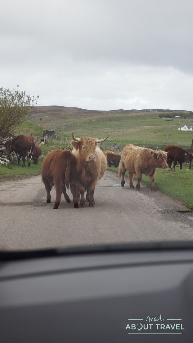 ruta north coast 500 escocia
