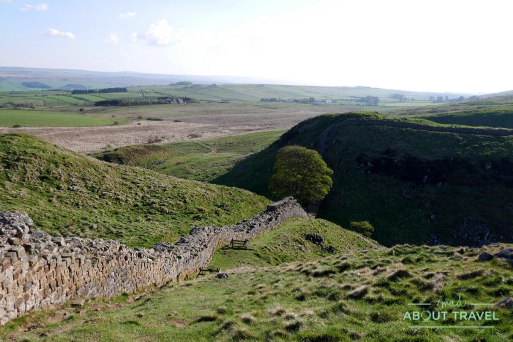 muro de adriano: sycamore gap