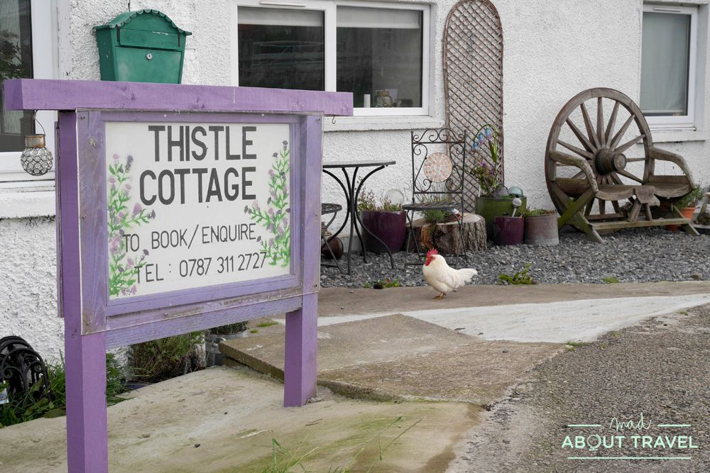 donde dormir en la ruta north coast 500: thistle cottage