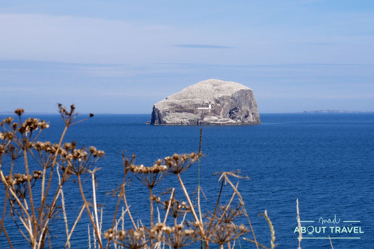 que ver en east lothian: bass rock