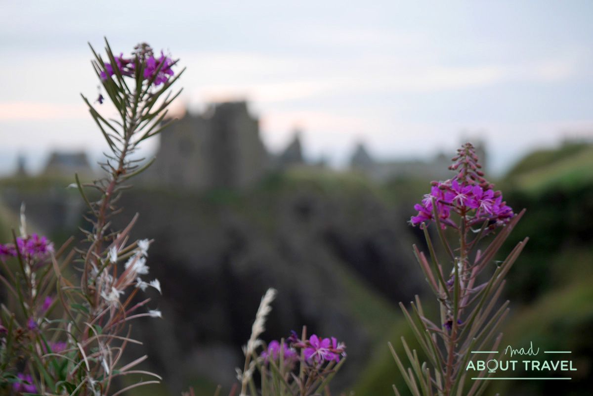 ruta de los castillos de aberdeen: castillo de dunnottar