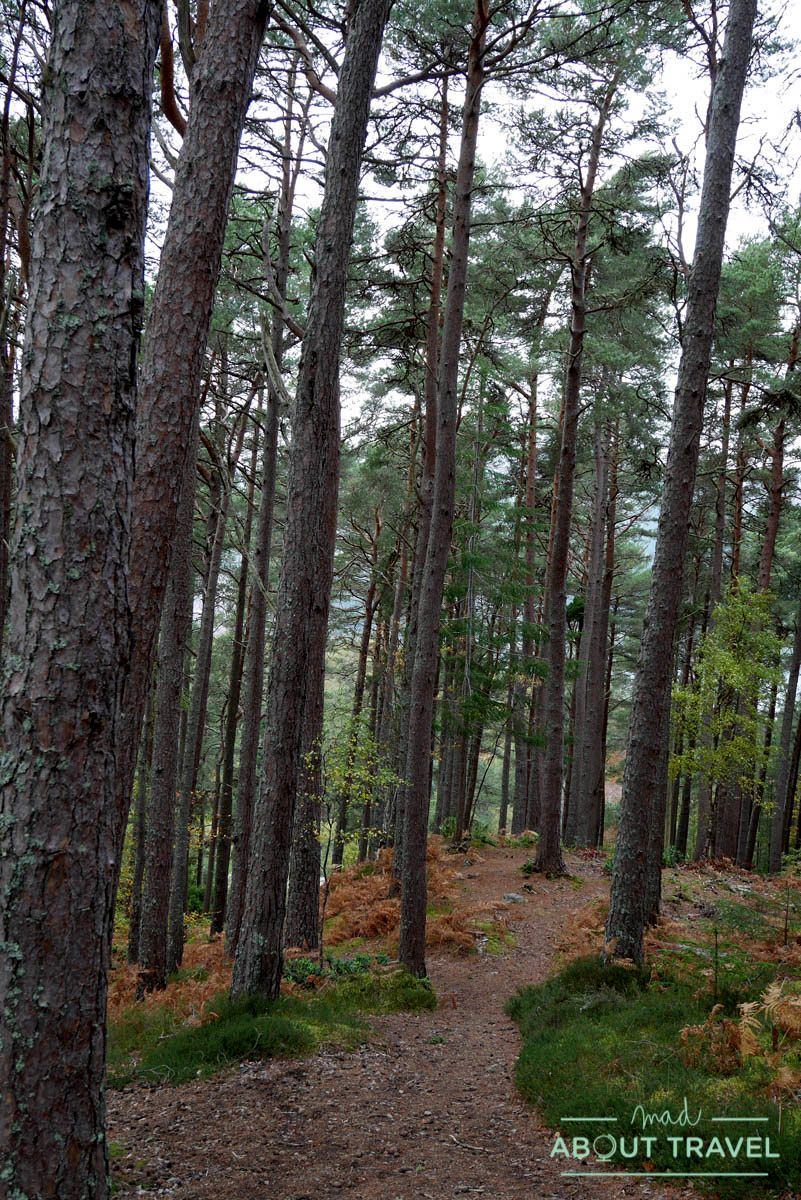 ruta senderista falls of foyers inverness