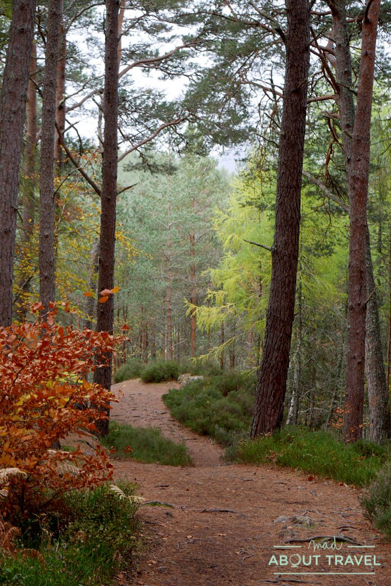 ruta senderista falls of foyers inverness