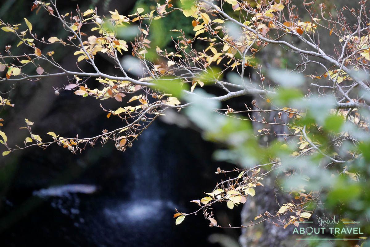 ruta senderista falls of foyers inverness