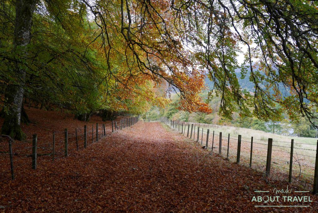 ruta senderista falls of foyers inverness