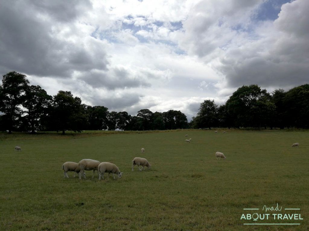 ruta en bicicleta desde Edimburgo: dalmeny estate