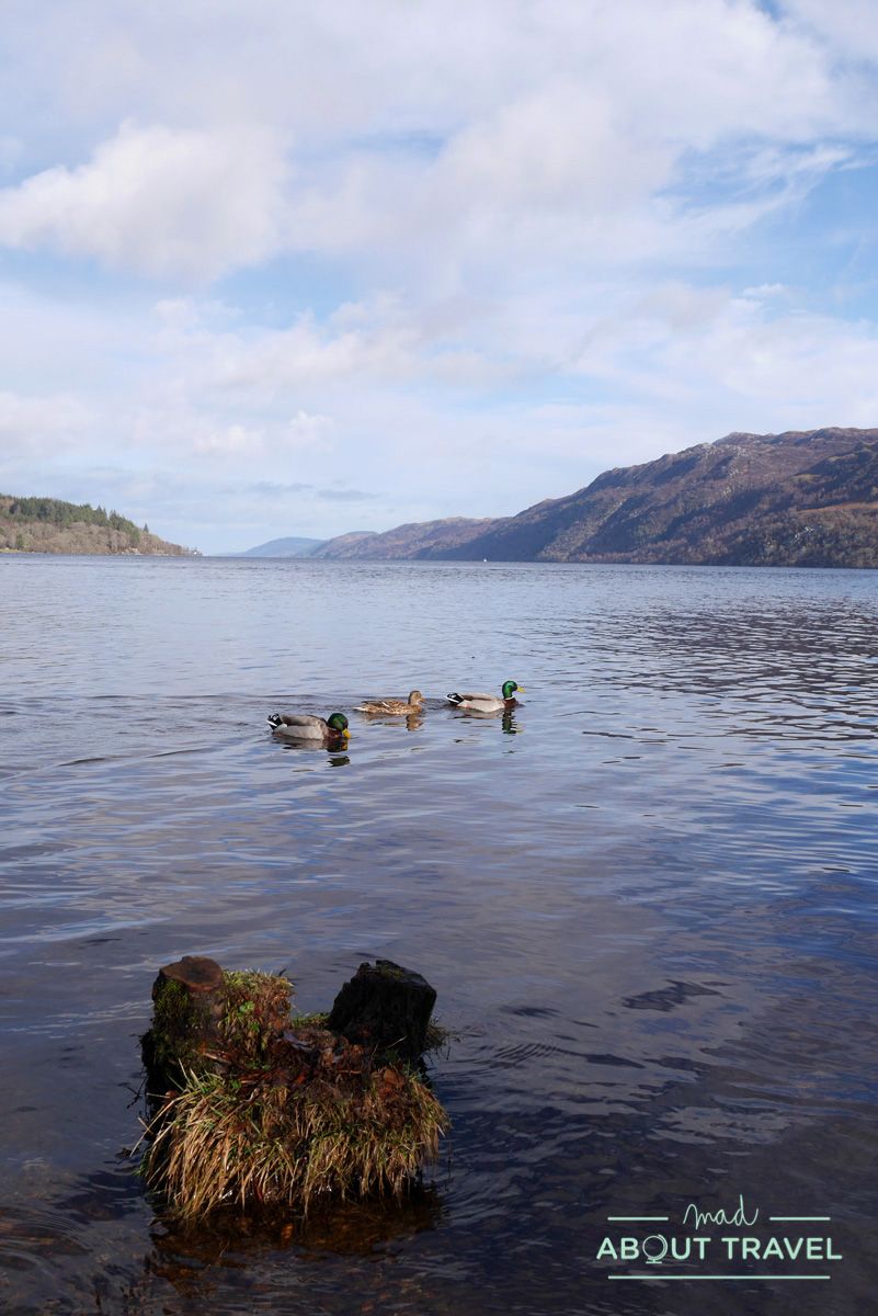 que ver en fort augustus: Lago Ness