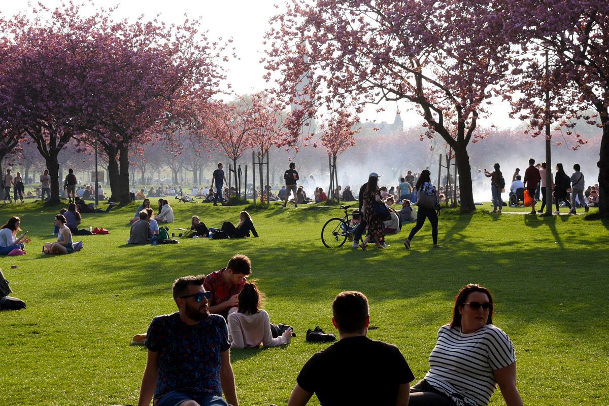 Floración de los cerezos en Edimburgo
