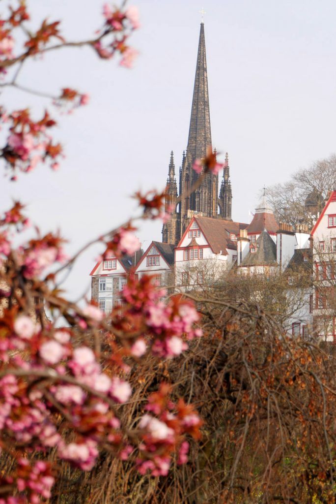 Floración de los cerezos en Edimburgo