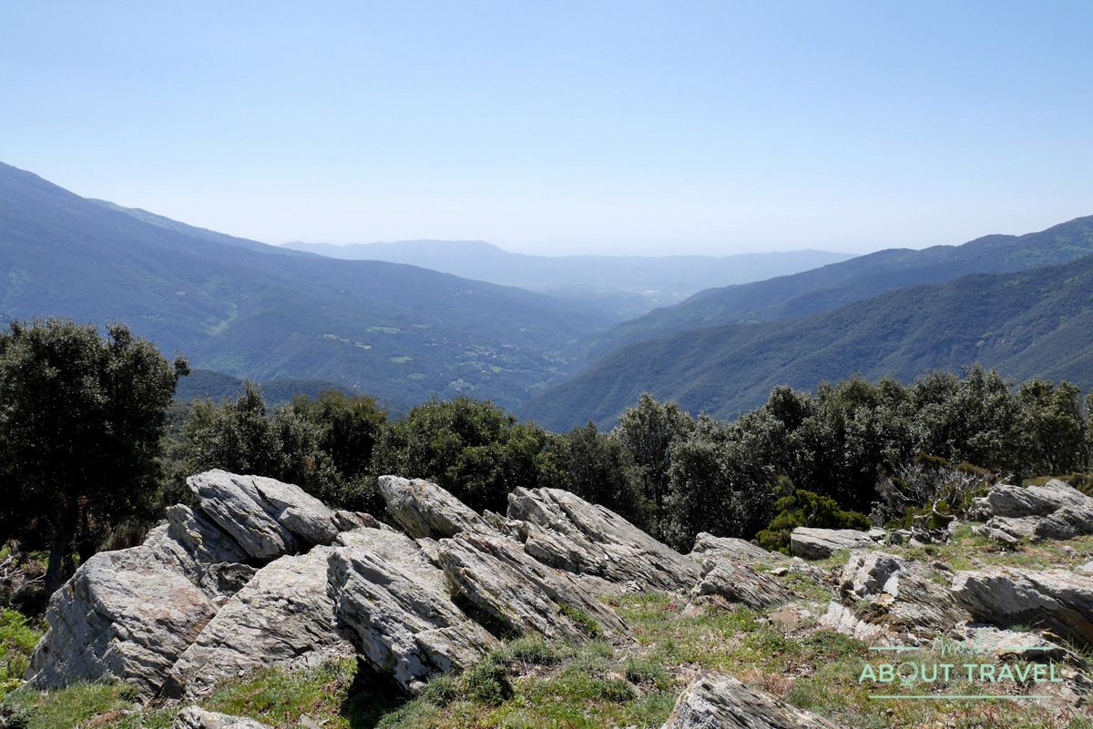 Pla de la Calma en el Monsteny