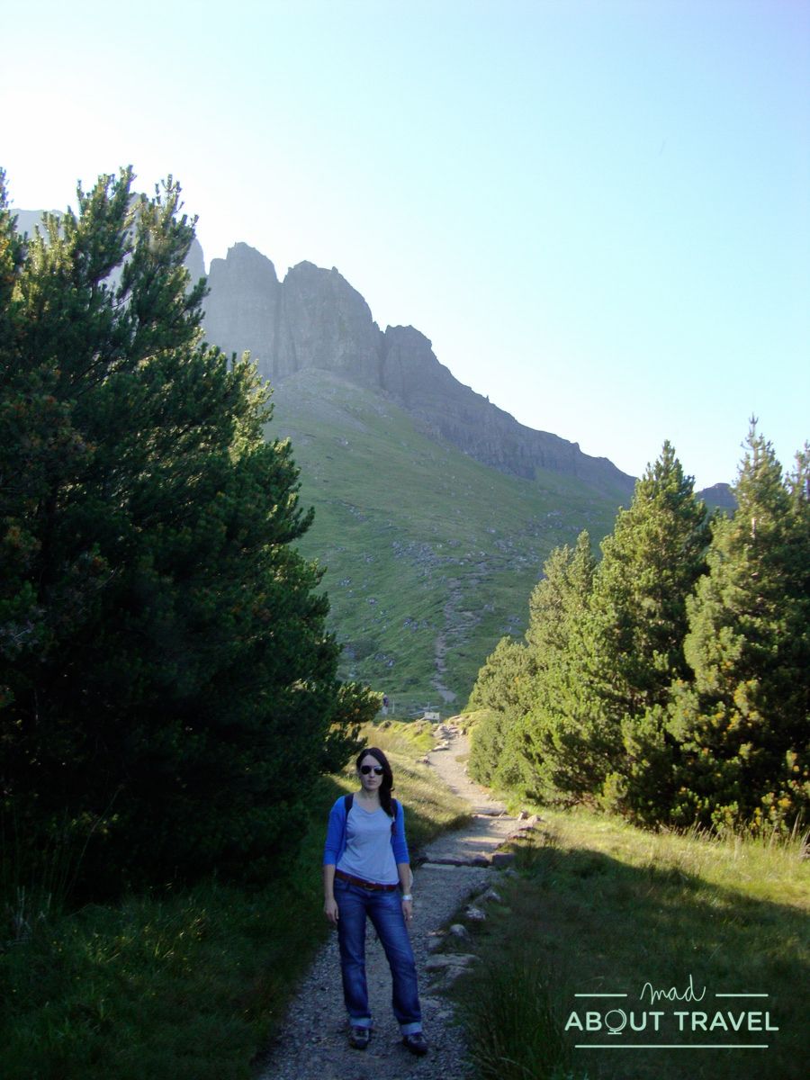 bosque del Old Man of Storr en la Isla de Skye, Escocia
