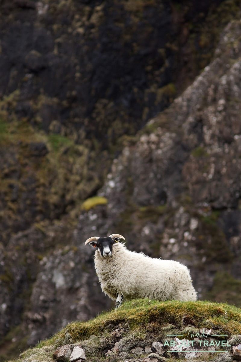 Quiraing, isla de Escocia