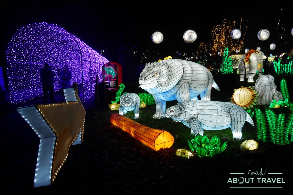 Giant Lanterns en el zoo de Edimburgo