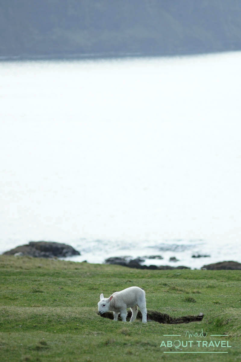 faro de Neist Point, isla de skye