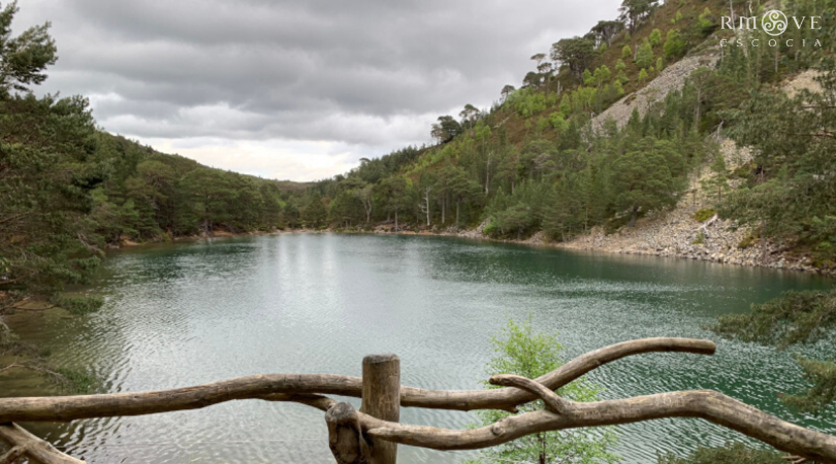The Lochan Uaine. Reserva de Glen More