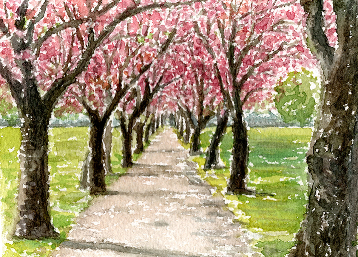 Ilustración del parque de los Meadows de Edimburgo por Edinburgh Sketcher