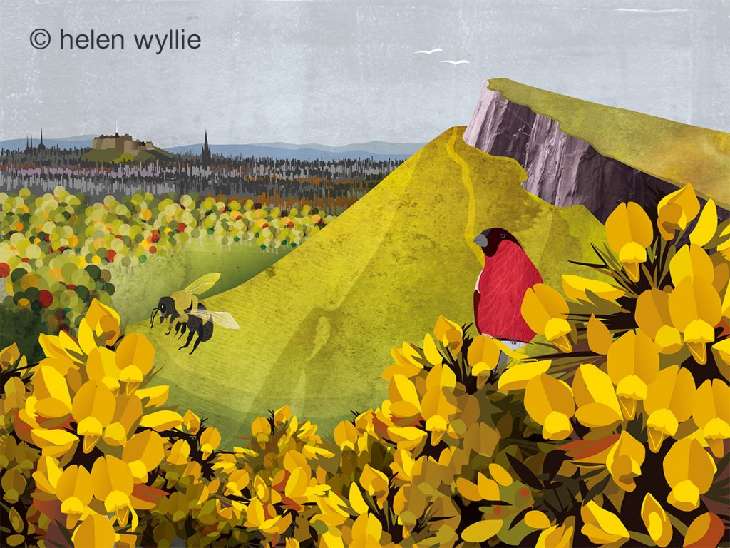 Ilustración de Escocia de WillyeCat