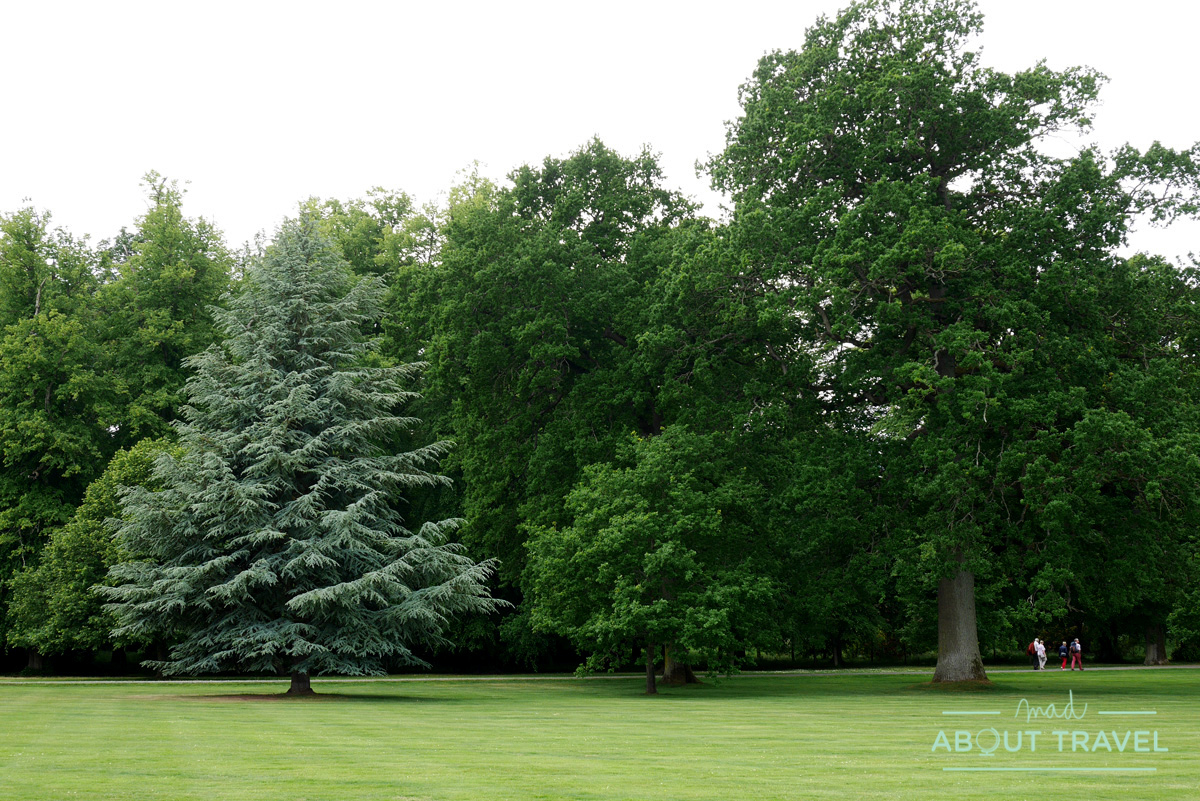 Bosques del castillo de Floors, Escocia