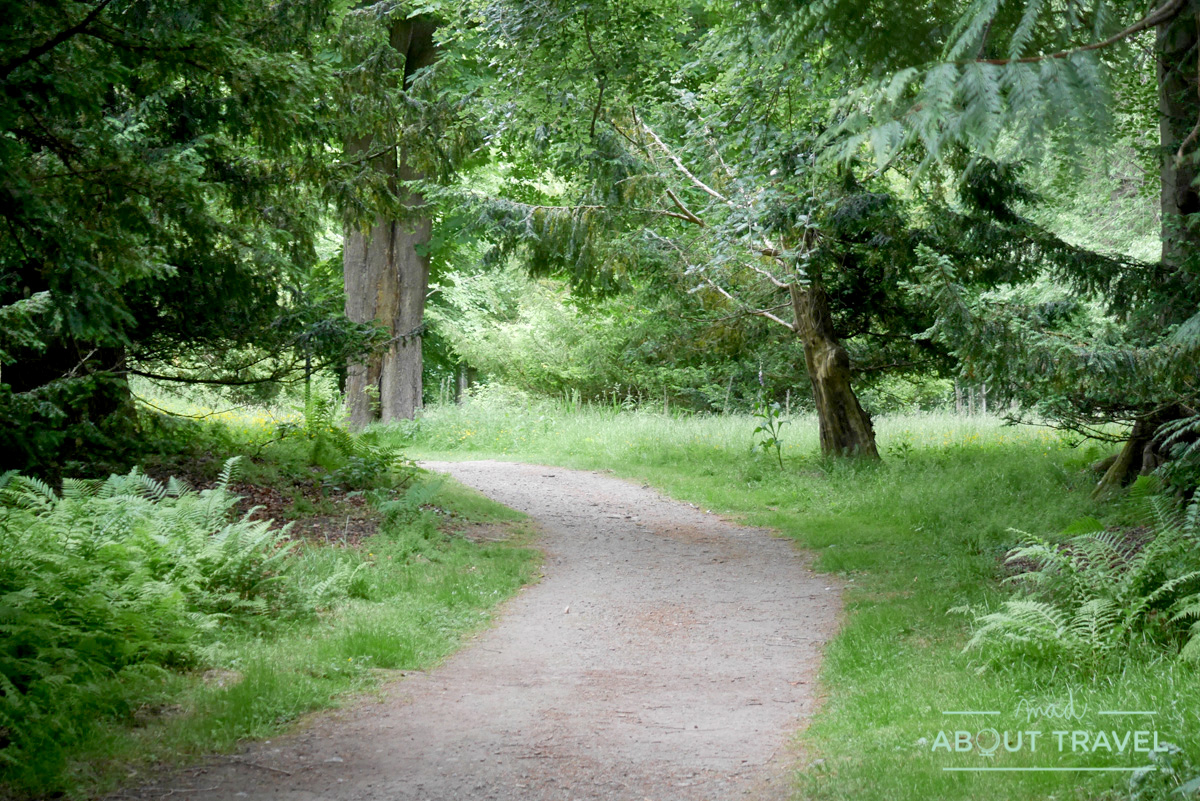 Bosques del castillo de Floors, Escocia