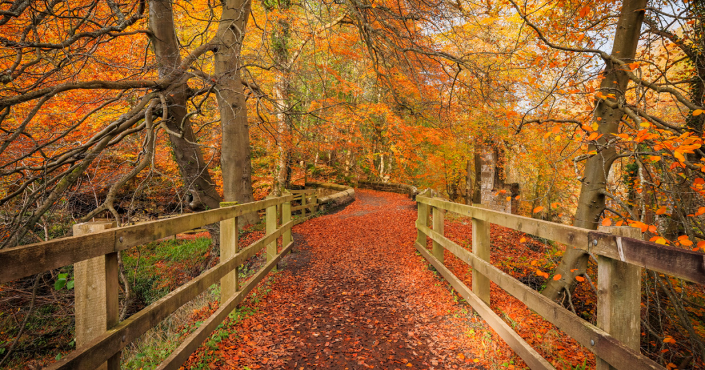 Los 40 mejores lugares para vivir el otoño en Escocia