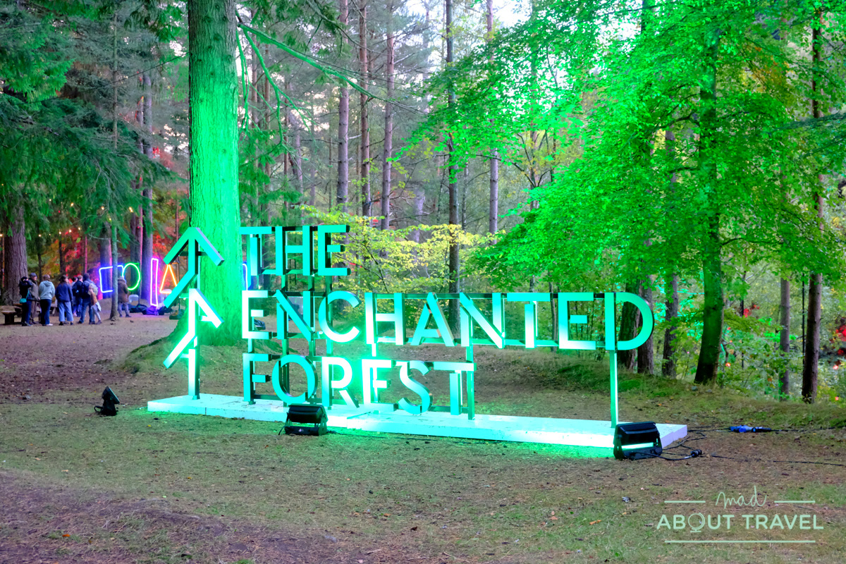 Visitar el Enchanted Forest de Pitlochry: consejos e información - Mad ...
